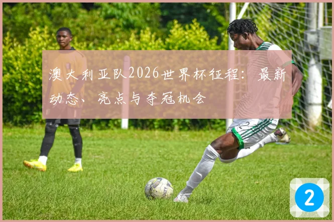 澳大利亚队2026世界杯征程:最新动态、亮点与夺冠机会