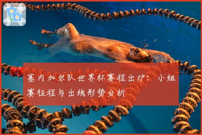 塞内加尔队世界杯赛程出炉:小组赛征程与出线形势分析