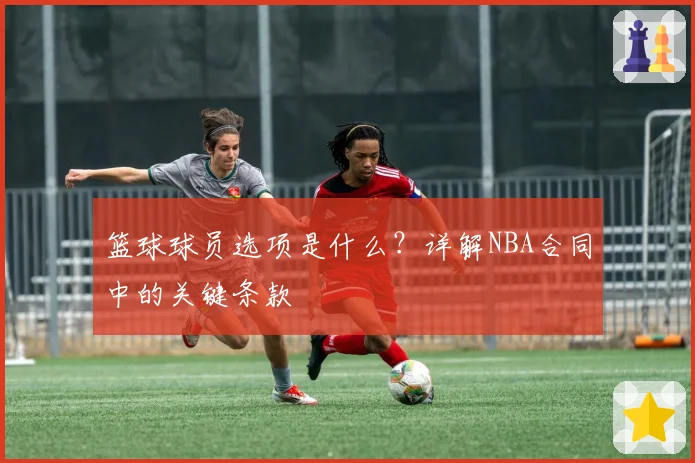 篮球球员选项是什么？详解NBA合同中的关键条款