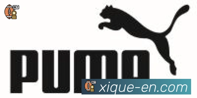 开云app合作伙伴