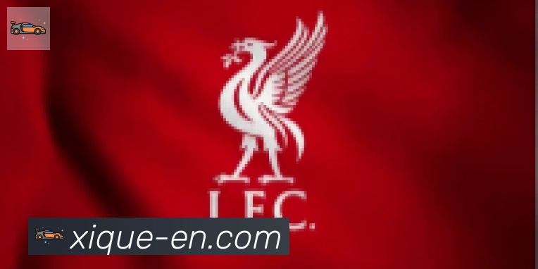 开云app合作伙伴